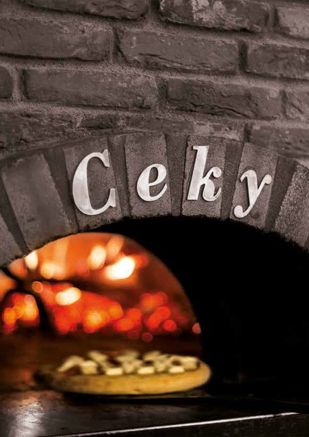 Catalogo Forni Ceky — gamma completa